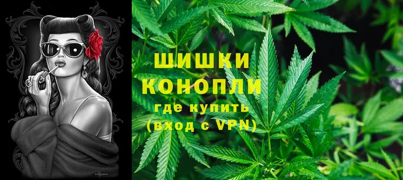 где найти   Новодвинск  Бошки марихуана OG Kush 